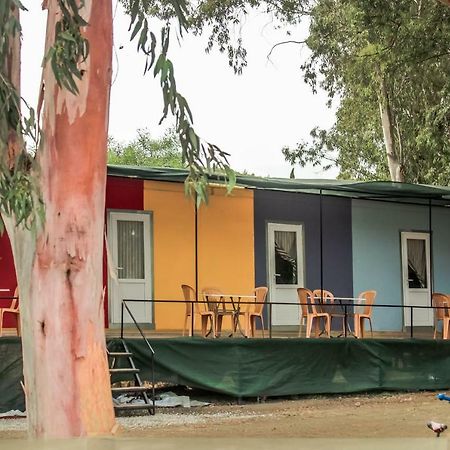 Patara Woody Hostel & Camping エクステリア 写真