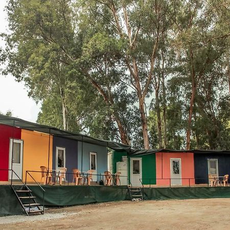 Patara Woody Hostel & Camping エクステリア 写真