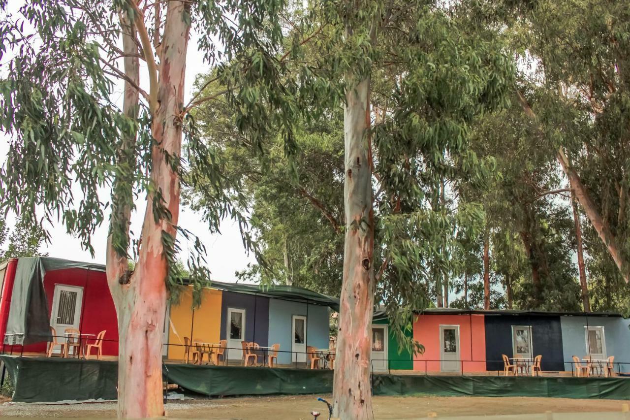Patara Woody Hostel & Camping エクステリア 写真